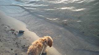 Ninnas - Hjärtan I Sand ...