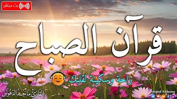 قرآن الصباح ☀️ قرآن كريم بصوت جميل جدا جدا يريح القلب 🤍 القارئ ماجد الدعوس
