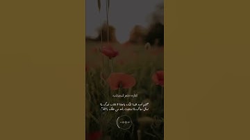 أرح سمعك 🥀القارئ: ماهر المعيقلي 🍃حالات واتس آب