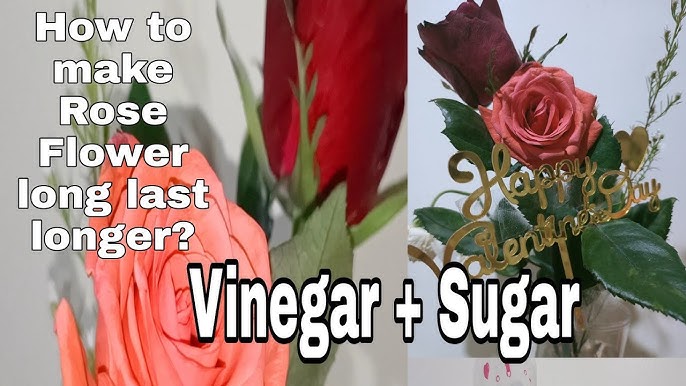 Sugar Water Make Flowers Last Longer