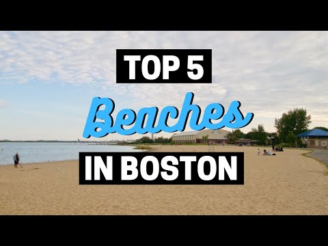 Vídeo: 11 Melhores praias perto de Boston