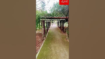 القرآن الكريم #القرآن_الكريم #راحة_نفسية #إطمئن #قراءة_خاشعة #تلاوة_خاشعة #تلاوة_هادئة