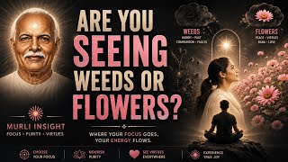 Learn to See Virtues Everywhere | Murli Insight 