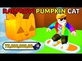 I SPENT 75 BILLION to Hatch Huge Pumpkin Cat in Roblox Pet Simulator X