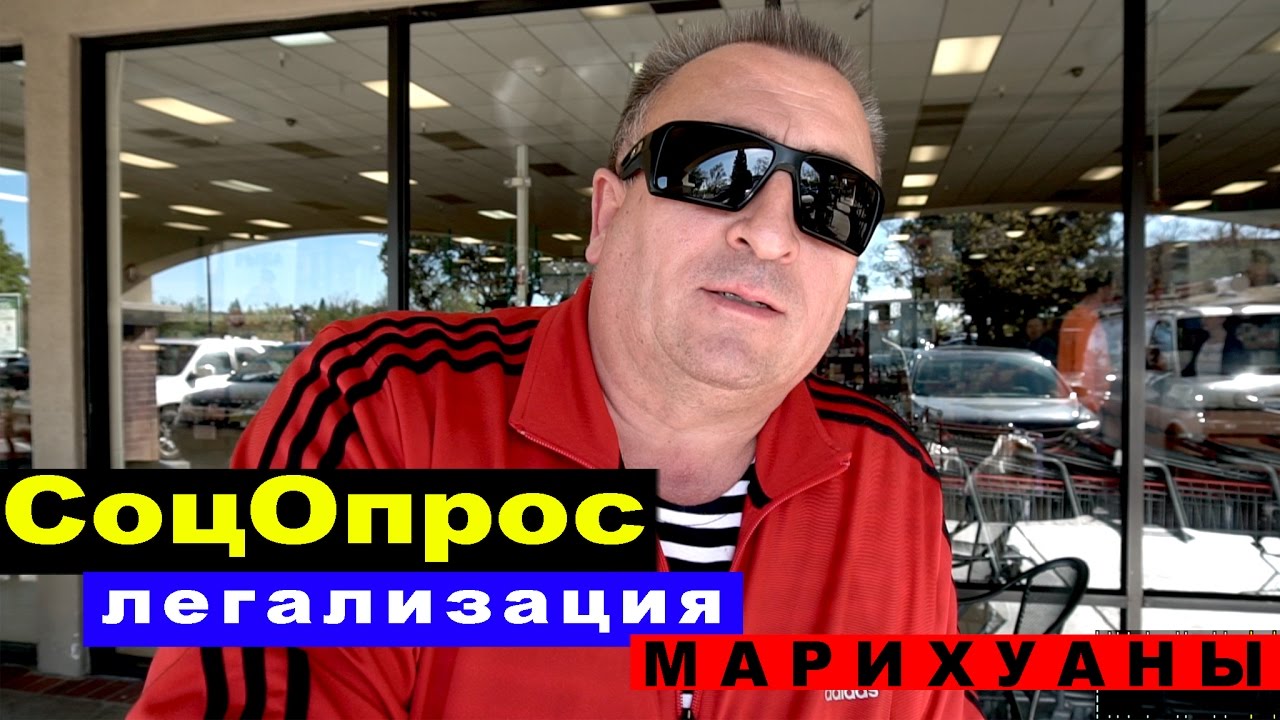 Русскоязычные О Легализации МАРИХУАНЫ В Калифорнии
