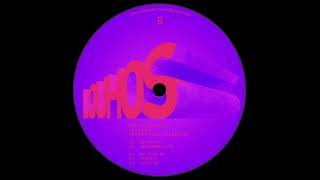 Timo Paananen - Suevite