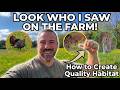 How to Create a Wildlife Haven: Spring Farm Prep &amp; Habitat Building