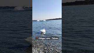 Fantastic Chitgar lake in Tehran #shortvideo #chitgar #traveltoiran