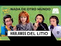 TODO SOBRE EL LITIO POR VIOLE WEBER | PRIMER AVISO