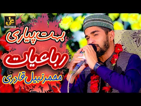 Muhammad Nabeel Hussain Qadri Beautiful Rubiyat New Kalam 2023 AliProduction