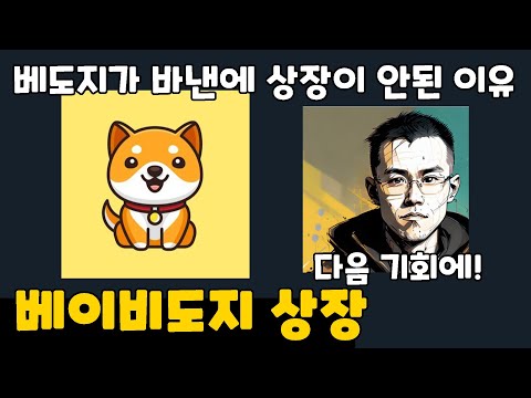 베이비도지가 바이낸스에 아직 상장이 안된 이유 뇌피셜 조금 