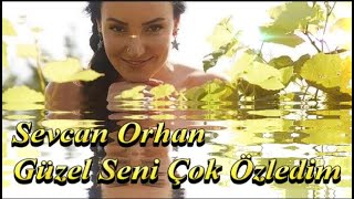 Sevcan Orhan  ||  Güzel Seni Çok Özledim || Resimi