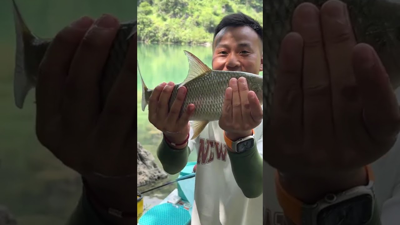 仙境钓点探钓神秘鱼种 友情提示 不认识的鱼记得放生哦