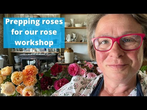 Prepping for the online rose workshop