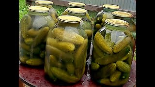 Настоящие бочковые соленые огурцы без хлопот🥒🥒🥒