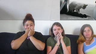 Try Not To Cry #1 // Autumn and Alissia Have No Heart