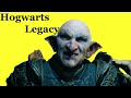 Hogwarts Legacy Intro Level