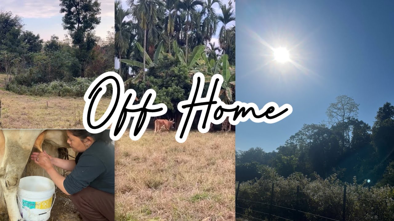 Coming home | Foothills | Little Routines 