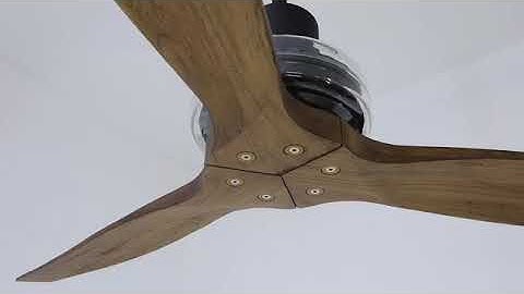 Star Propeller Ceiling Fan