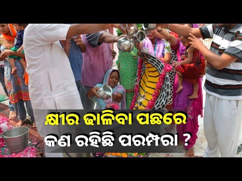 ନାଗ ଦେବତାଙ୍କ ଉପରେ କାହିଁକି ଢଳାଯାଏ କ୍ଷୀର, କେବେଠୁ ଆରମ୍ଭ ହେଲା ଏହି ପରମ୍ପରା ?||Knews Odisha