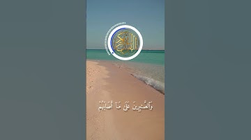 #القرآن_الكريم #سورة #آيات #المغرب #الجزائر #تونس #ليبيا #لبنان #مصر #السعودية #قطر #العراق #اليمن