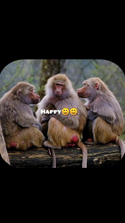 please do what makes you happy 😁 #love