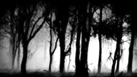 Thumbnail of Justin Walker - ode to a haunted wood