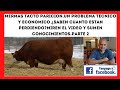 🔴PERDIDAS O MERMAS DESDE EL TACTO HASTA EL PARTO EN GANADERIA BOVINA.TODO LO QUE TIENEN QUE APRENDER