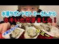 【水溜りボンドさんのトミーさんからカキの差し入れ！】すごいファンが現れた！