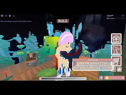 Dragon Adventures Tutorial Is Too Slow Youtube - dragon adventures roblox tutorial