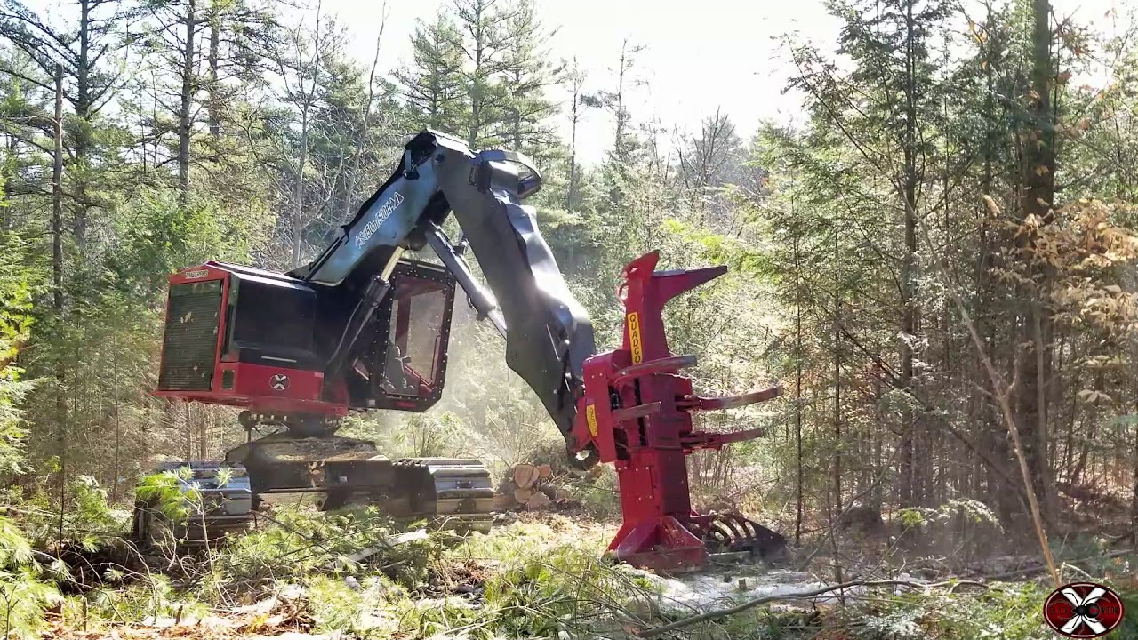 TimberPRO TL745D Feller Buncher For Sale