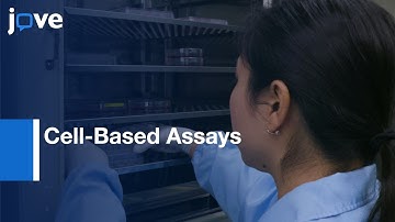 mRNA Translation Enhancing SINEUP Non-coding RNAs (Cell-Based Assays)