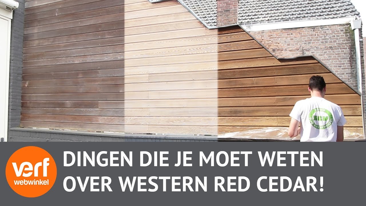 Vrijlating inleveren Verdorde Western Red Cedar en hoe je het buiten beschermd! - YouTube