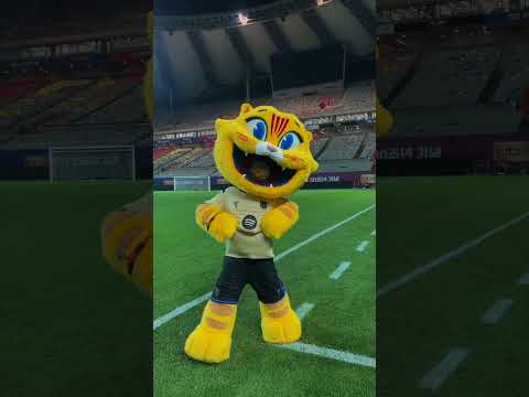 CAT Was Too Busy Throwing A Fit Fcbarcelona Shorts