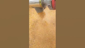 Multifunctional grain suction machine, loaded into a cart and filled with bags, eight tons per hour
