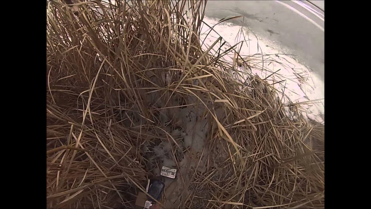 utah-duck-hunting-2015-part-3-youtube