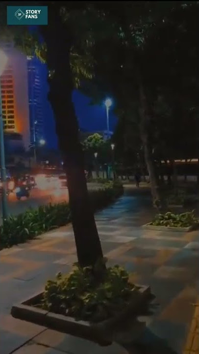 Story Aesthetic Malam Hari  #Story Wa