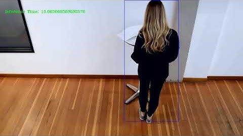 output video of people counter app