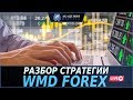 Разбор стратегии WMD Forex  На что способна стратегия за £5.495?  Академия Форекса