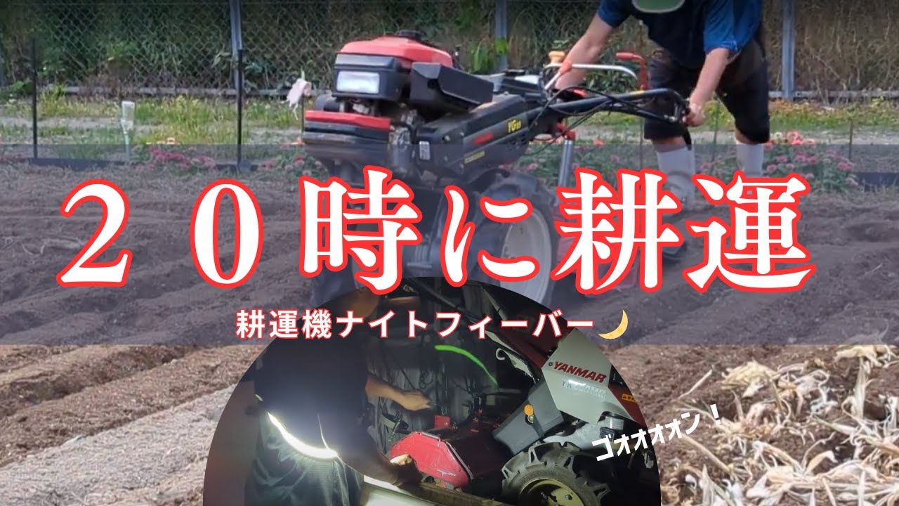 耕運機始動！夜8時 すき込み作業と真夏の畑でとうもろこしの播種して