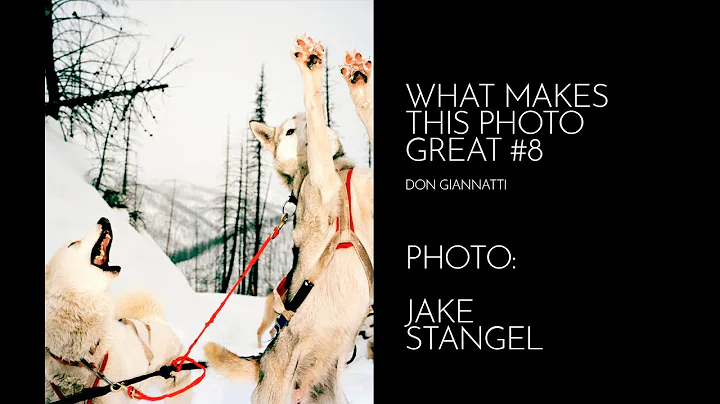 WHAT MAKES THIS PHOTO GREAT #8 JAKE STANGEL
