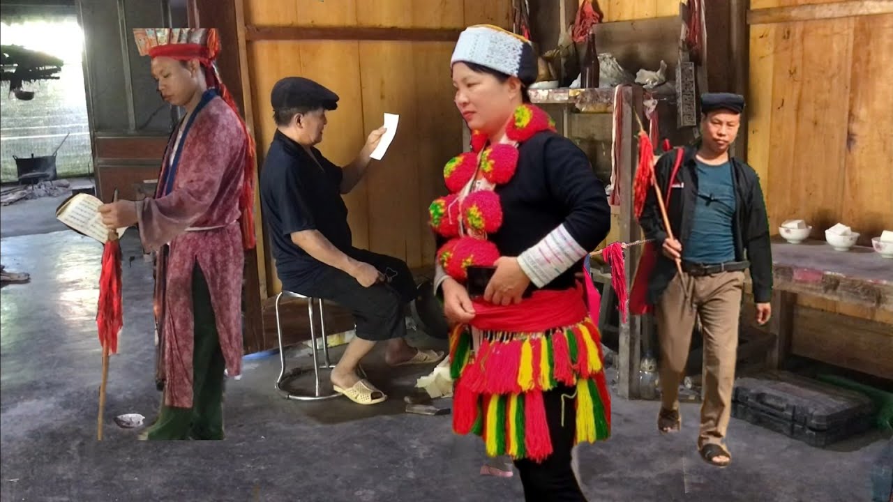 lumienh phí phàm thinh gđ Lý tài sinh