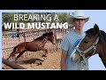 BREAKING A WILD MUSTANG |MAKING COLLEGE MONEY