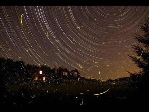Воля, эмоции, внимание. Урок биологии.