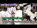 Yunus bhai ghode wale       horse dance and trening 