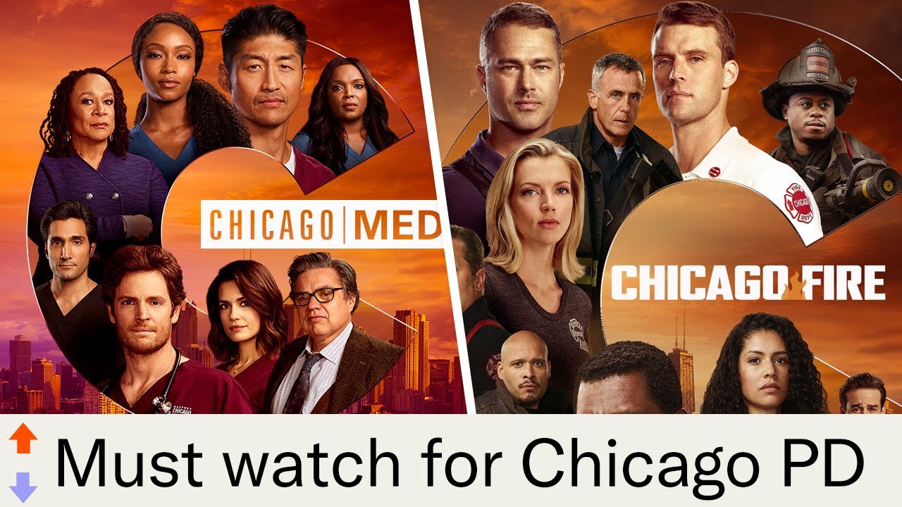Similar Shows To Watch If You Love Chicago P.D!