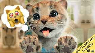 ADVENTURE OF A LITTLE KITTEN cartoon about Educational kittens -Cute Kitten Care Learning 1-10 #1042