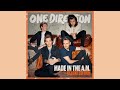 One Direction Walking In The Wind Studio Acapella mp3