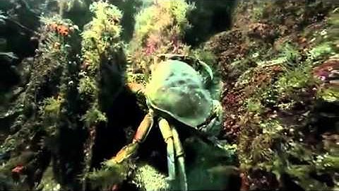 تلاوة نادرة سورة الاسراء يوسف ابكر