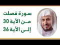سورة فصلت من الآية 30 إلى الآية 36 الشيخ سعد الغامدي 